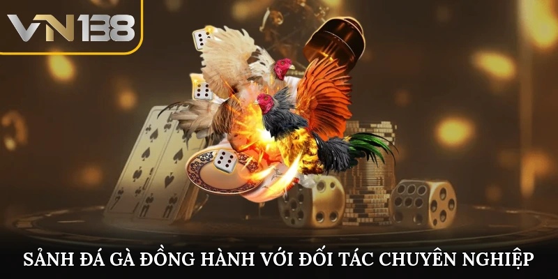 Sảnh đá gà đồng hành với các đối tác chuyên nghiệp